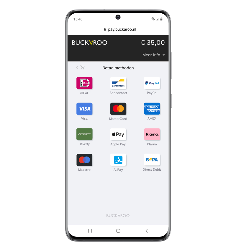 Webshop Betalingen Accepteren met de Buckaroo Smart Checkout